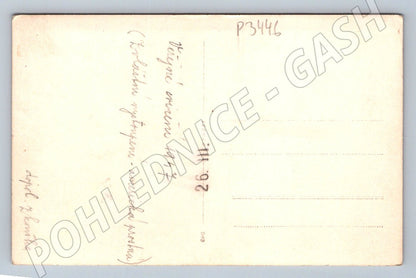 Stará fotografie skupina mladých mužů bez košil 1947 (P3446)