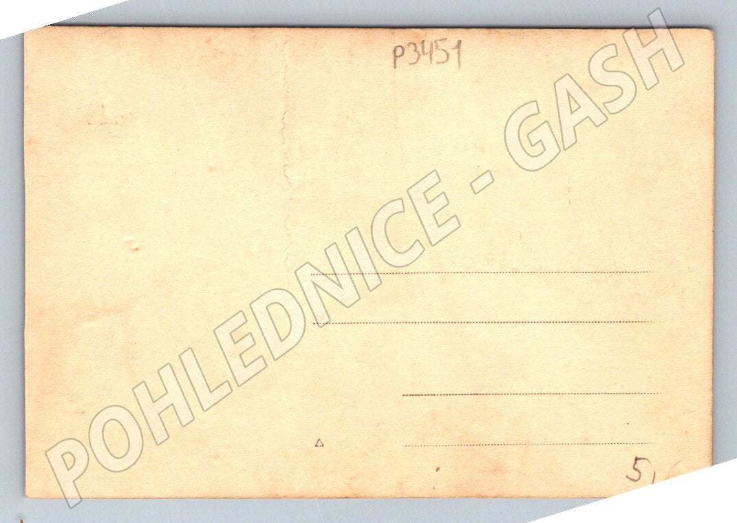 Pohlednice Hostavice svatební skupina ateliér Wanner (P3451)