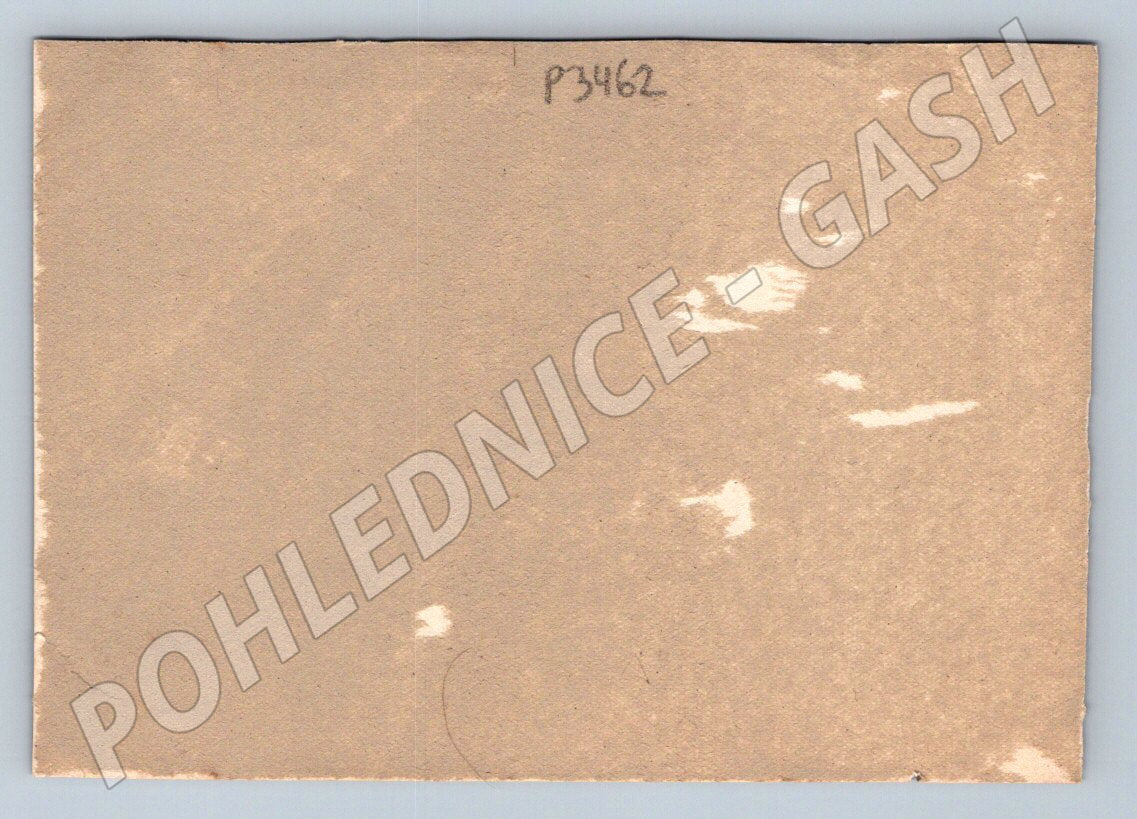 Stará fotografie mladý pár s kyticí (P3462)