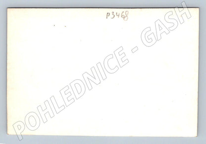 Stará fotografie skupina žen v uniformách (P3468)