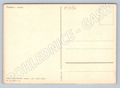 Pohlednice Plachtění kluzák Aeroklub (P3486)