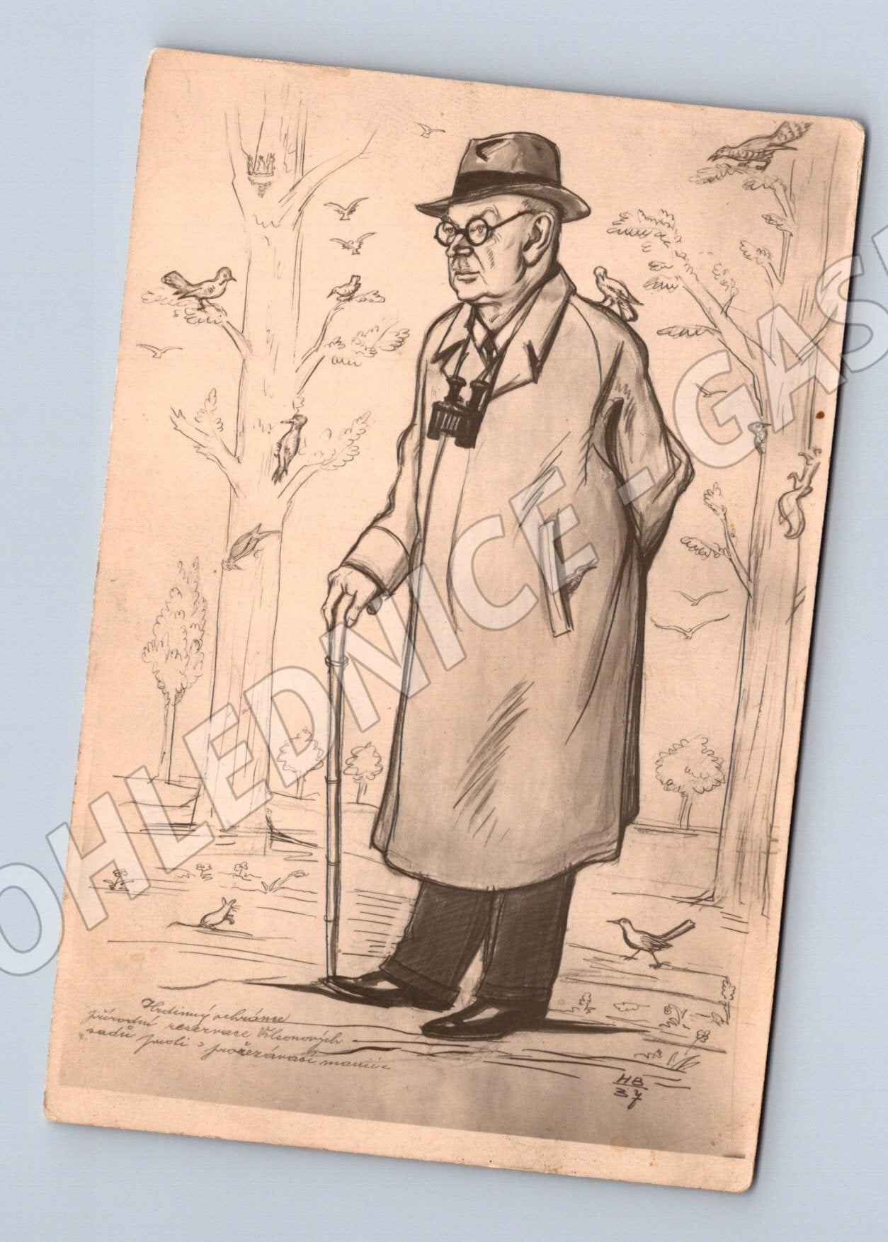 Pohlednice Karikatura muže s dalekohledem a ptáky 1940 (P3554)