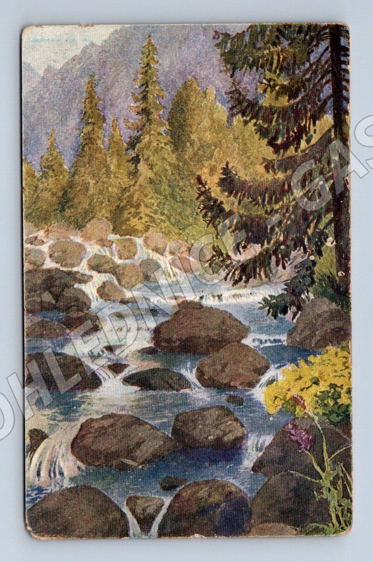 Pohlednice Slovensko Štrbské Pleso potok Mlynica 1924 (P3561)