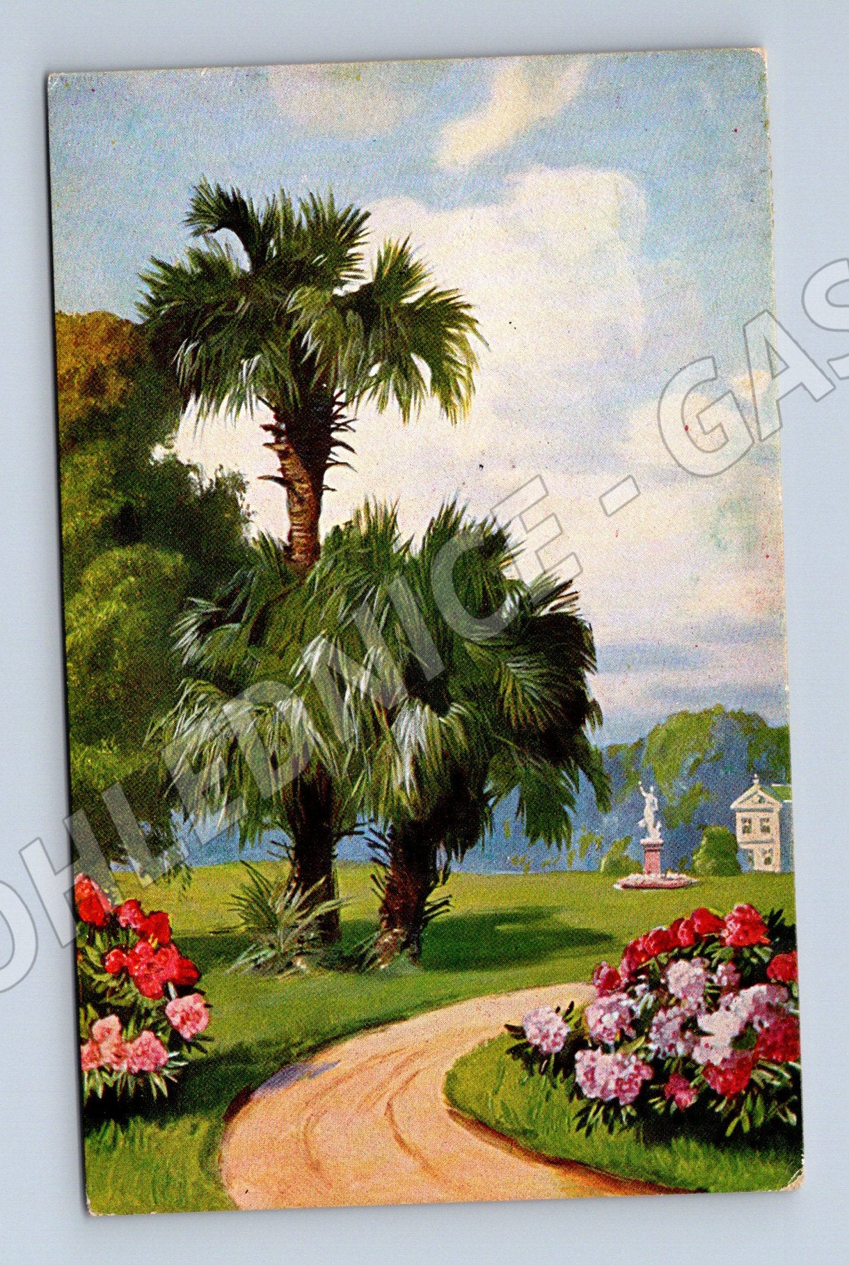 Pohlednice Park s palmami a vilou 1931 (P3574)