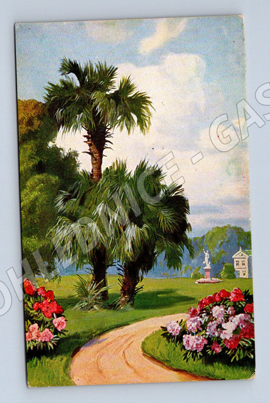 Pohlednice Park s palmami a vilou 1931 (P3574)