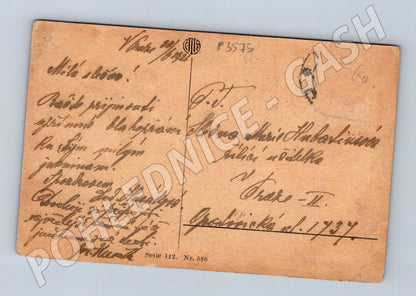 Pohlednice venkovská scéna žena děti 192X (P3575)