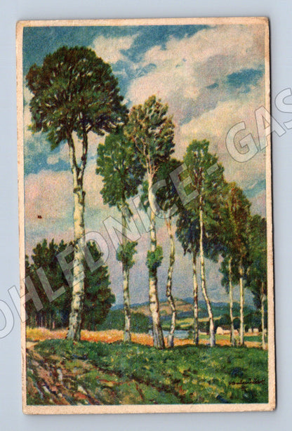 Pohlednice Bubeneč Březová alej 1930 (P3578)