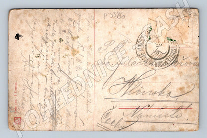 Pohlednice krajina s ovcemi a pastýřem 1919 (P3586)