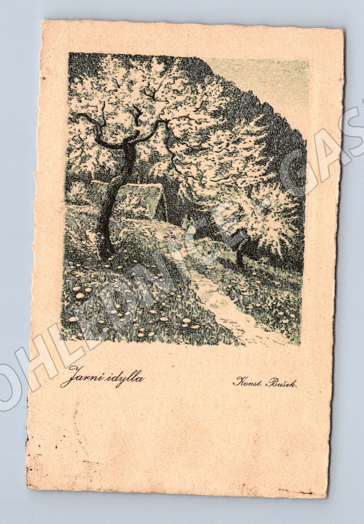 Pohlednice Jarní idylla kvetoucí stromy 1933 (P3605)