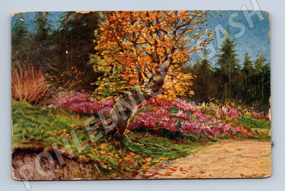 Pohlednice Rakousko podzimní krajina (P3607)