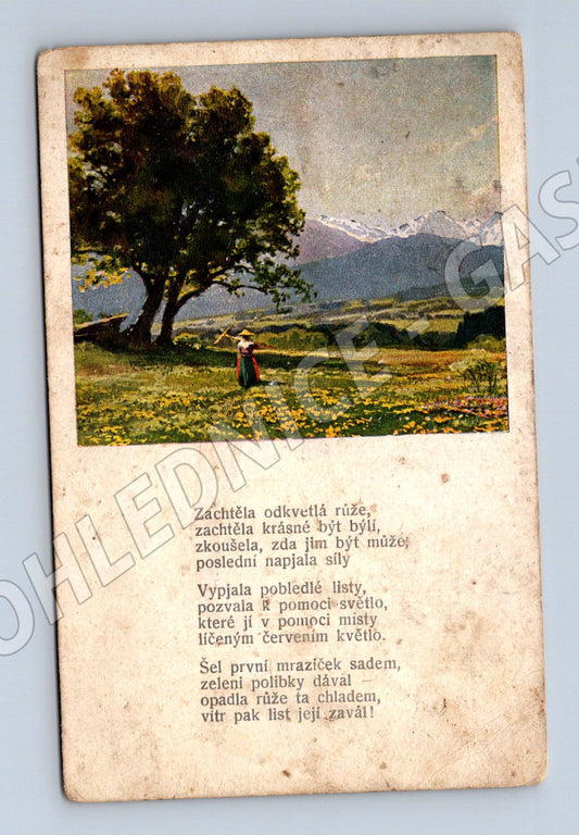 Pohlednice krajina s horami a básní 1920 (P3620)