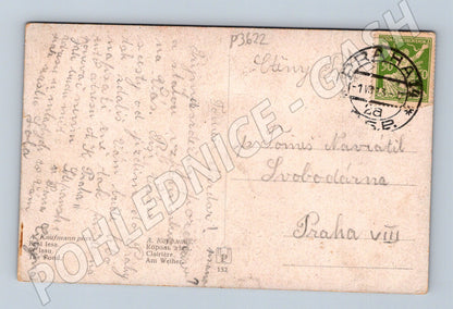 Pohlednice Lesní motiv podzim jeleni 1943 (P3622)