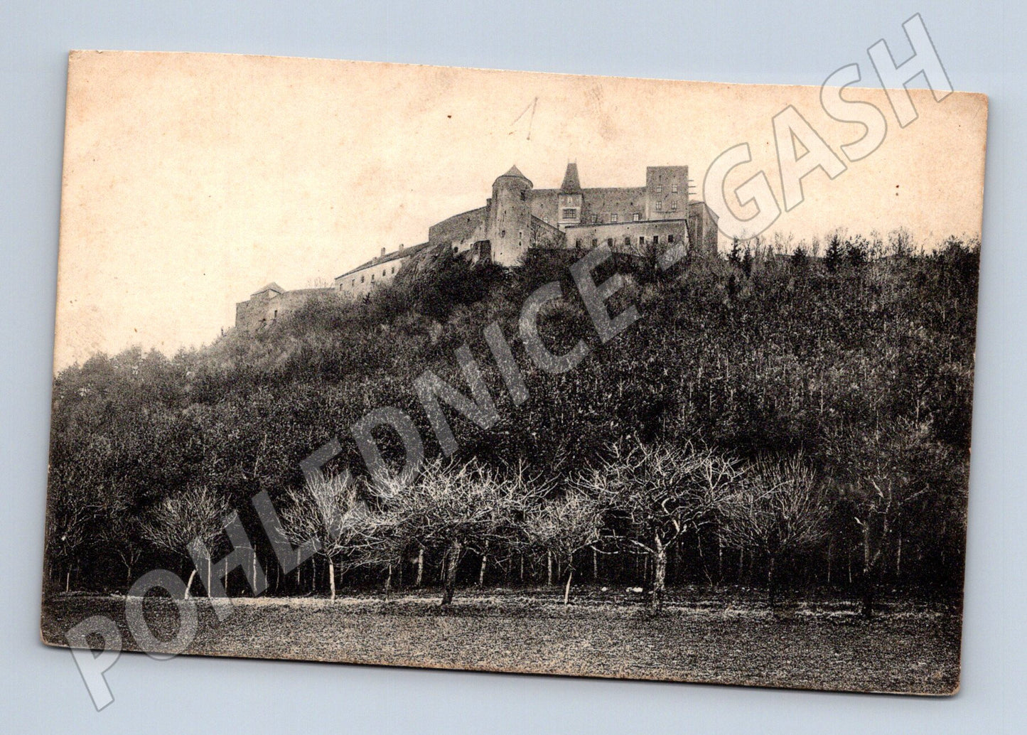 Pohlednice Buchlov hrad (P3660)