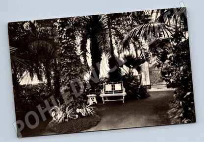 Pohlednice Lednice skleník 1956 (P3667)
