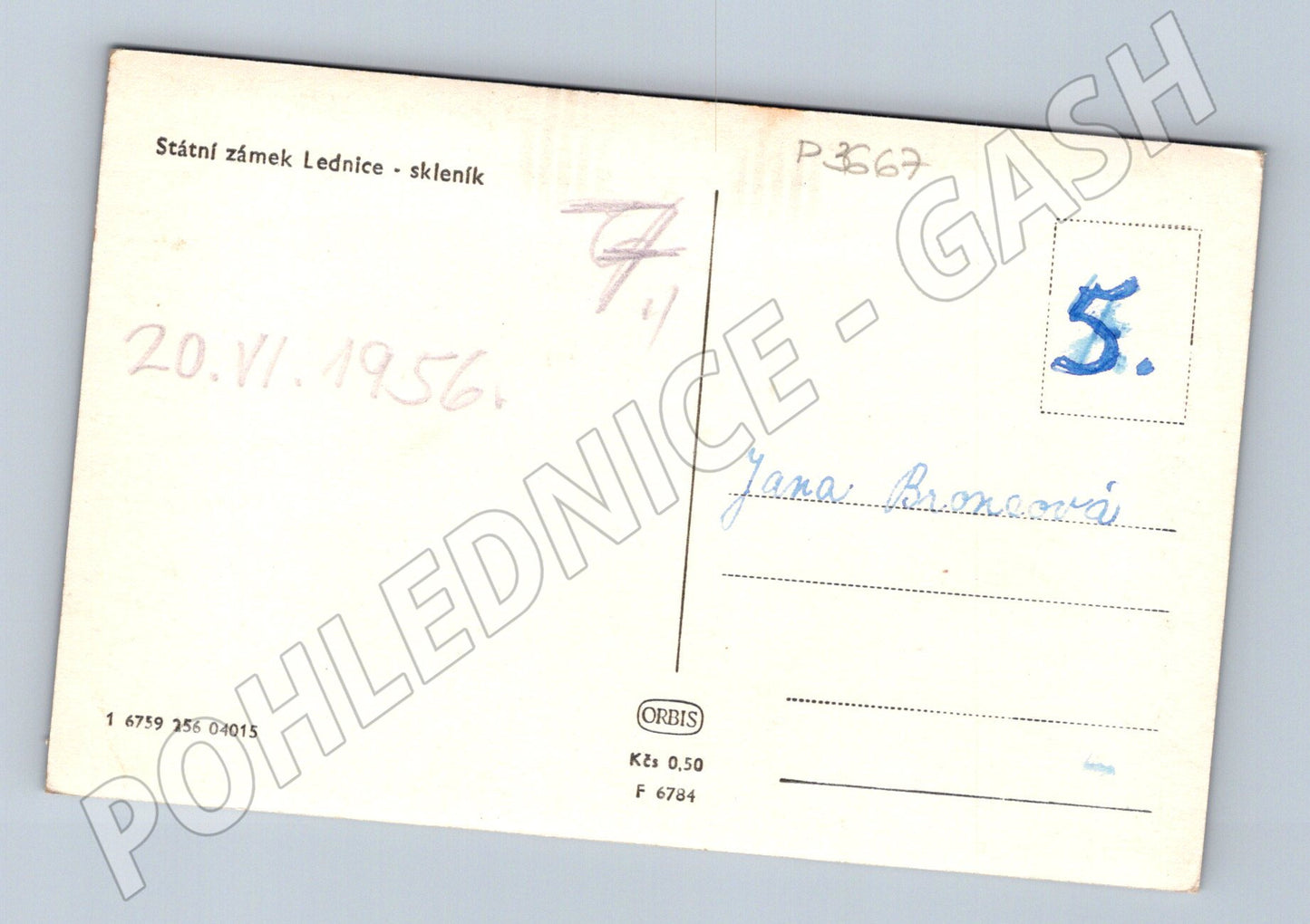 Pohlednice Lednice skleník 1956 (P3667)