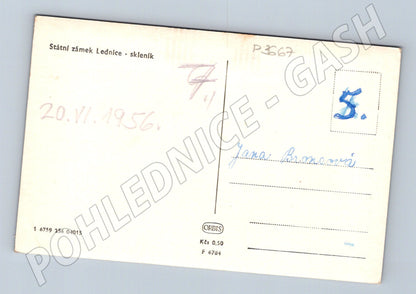 Pohlednice Lednice skleník 1956 (P3667)