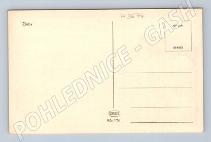 Pohlednice Žleby zámek (P3674)