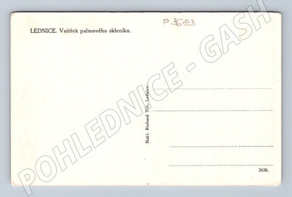 Pohlednice Lednice vnitřek palmového skleníku (P3683)