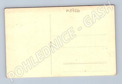 Pohlednice vrba v parku s budovami (P3726)