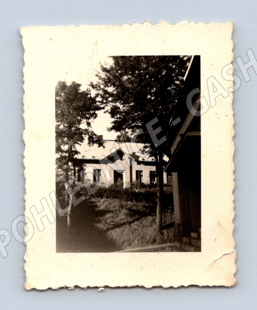 Stará fotografie dům mezi stromy (P3756)