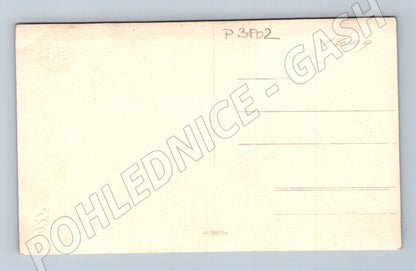 Pohlednice Portrét mladého muže (P3802)