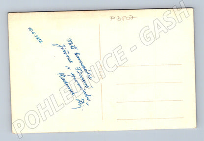 Pohlednice Portrét mladého muže 1953 (P3807)