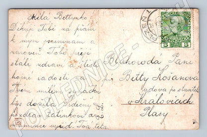 Pohlednice malba venkovská scéna 1905 (P3839)