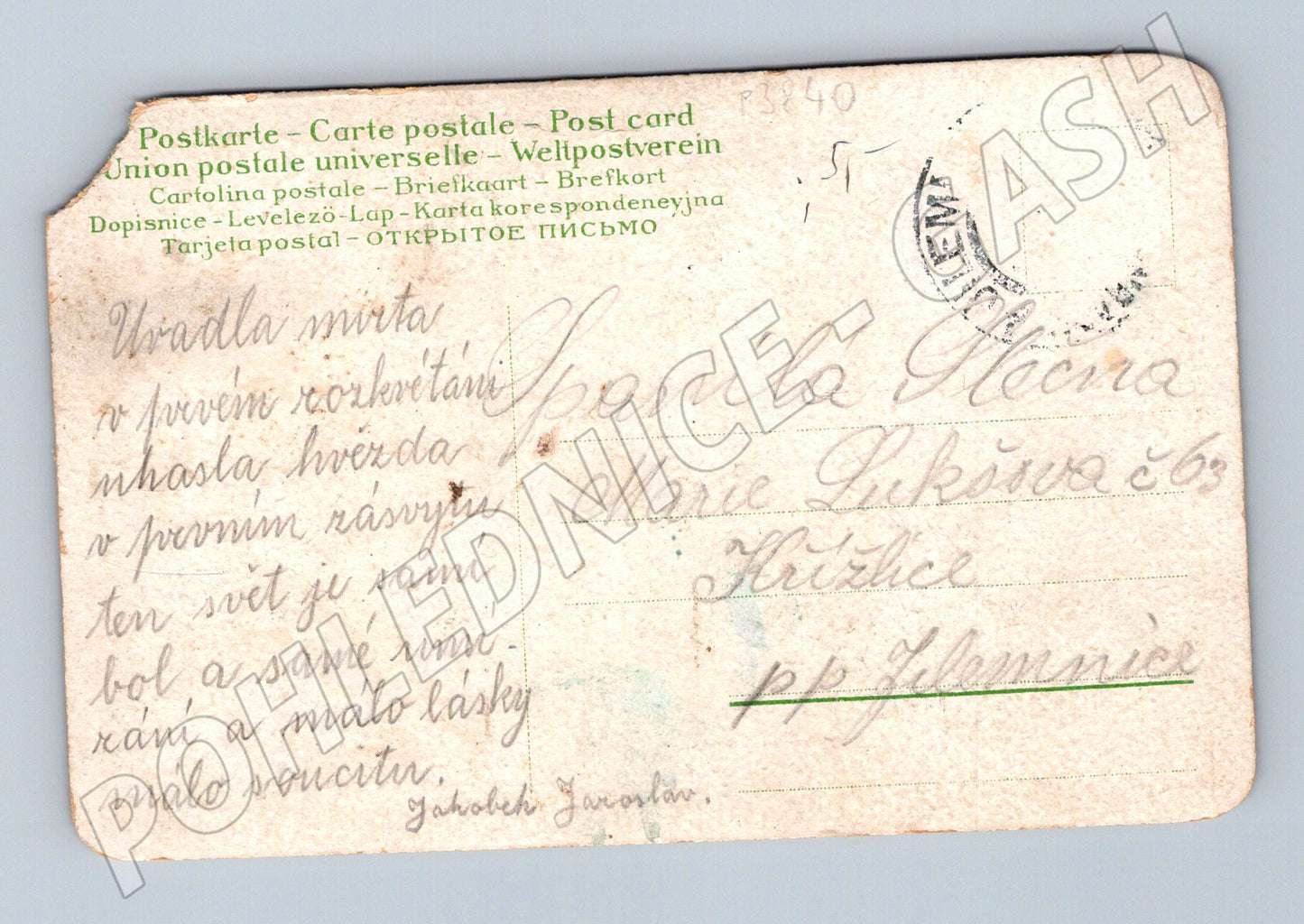 Pohlednice Květinové srdce modřenky (P3840)