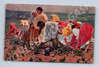 Pohlednice Slovensko rolníci práce na poli 1919 (P3846)