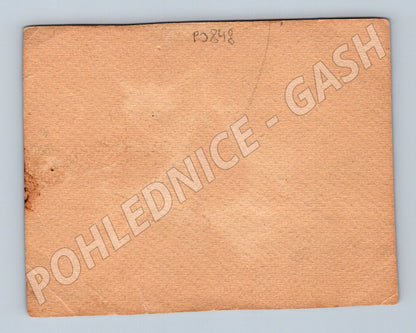 Pohlednice zvířata srnci květy (P3848)