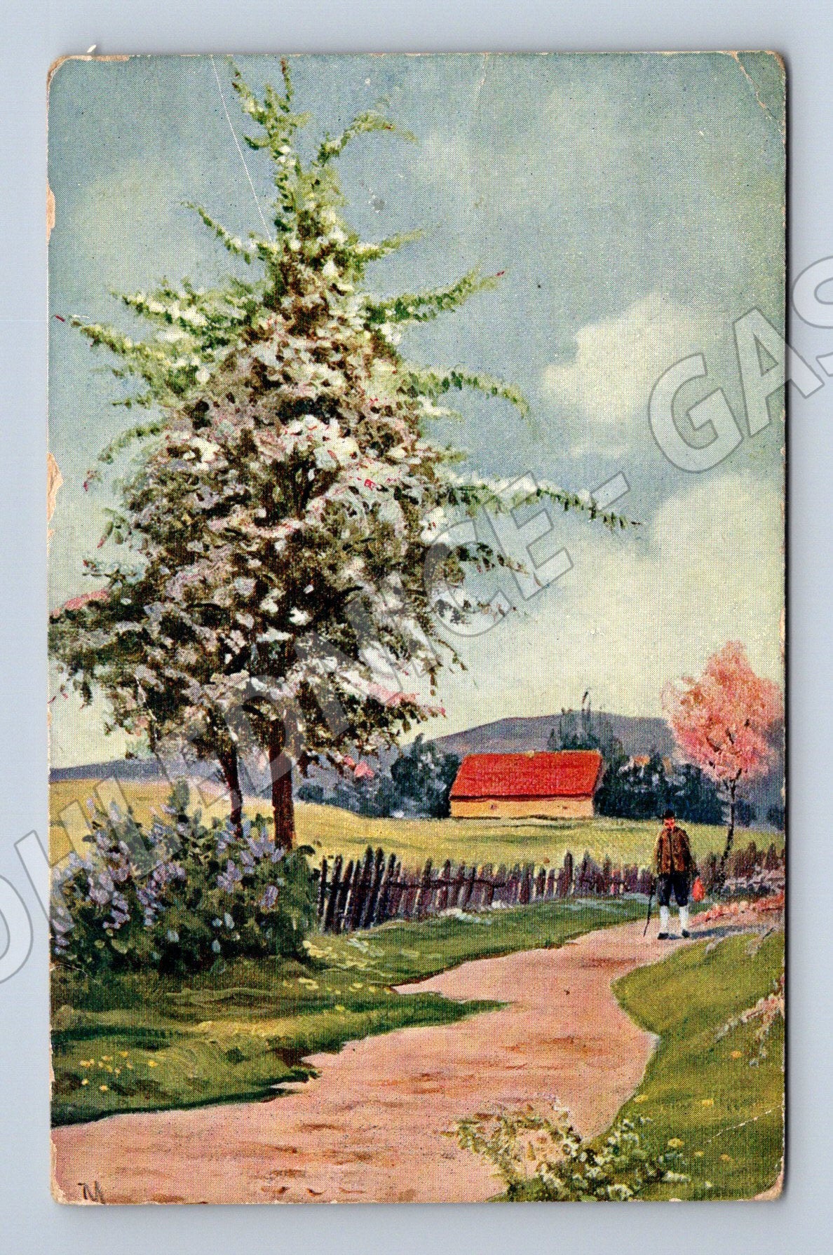 Pohlednice Praha krajina kvetoucí stromy 1939 (P3857)