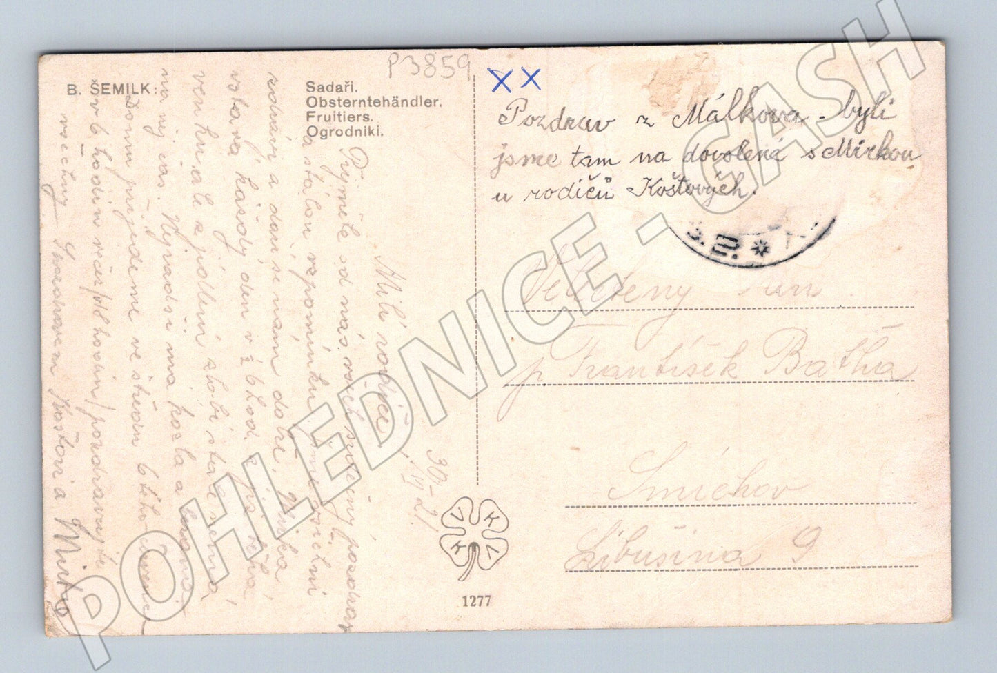 Pohlednice Málkovo sad sklizeň jablek (P3859)