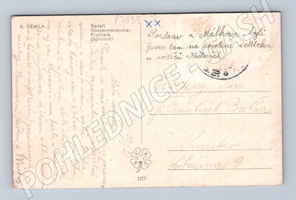 Pohlednice Málkovo sad sklizeň jablek (P3859)