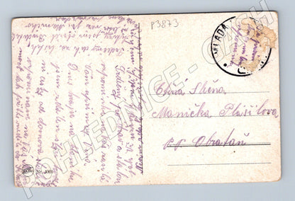 Pohlednice venkovská krajina s cestou a stromy (P3873)