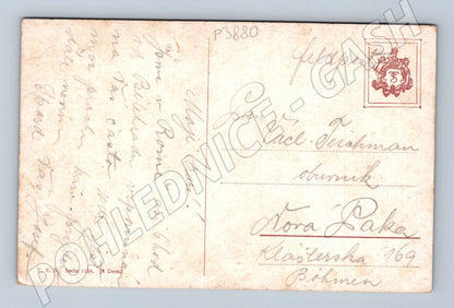 Pohlednice zimní krajina stromy A. Kaufman (P3880)