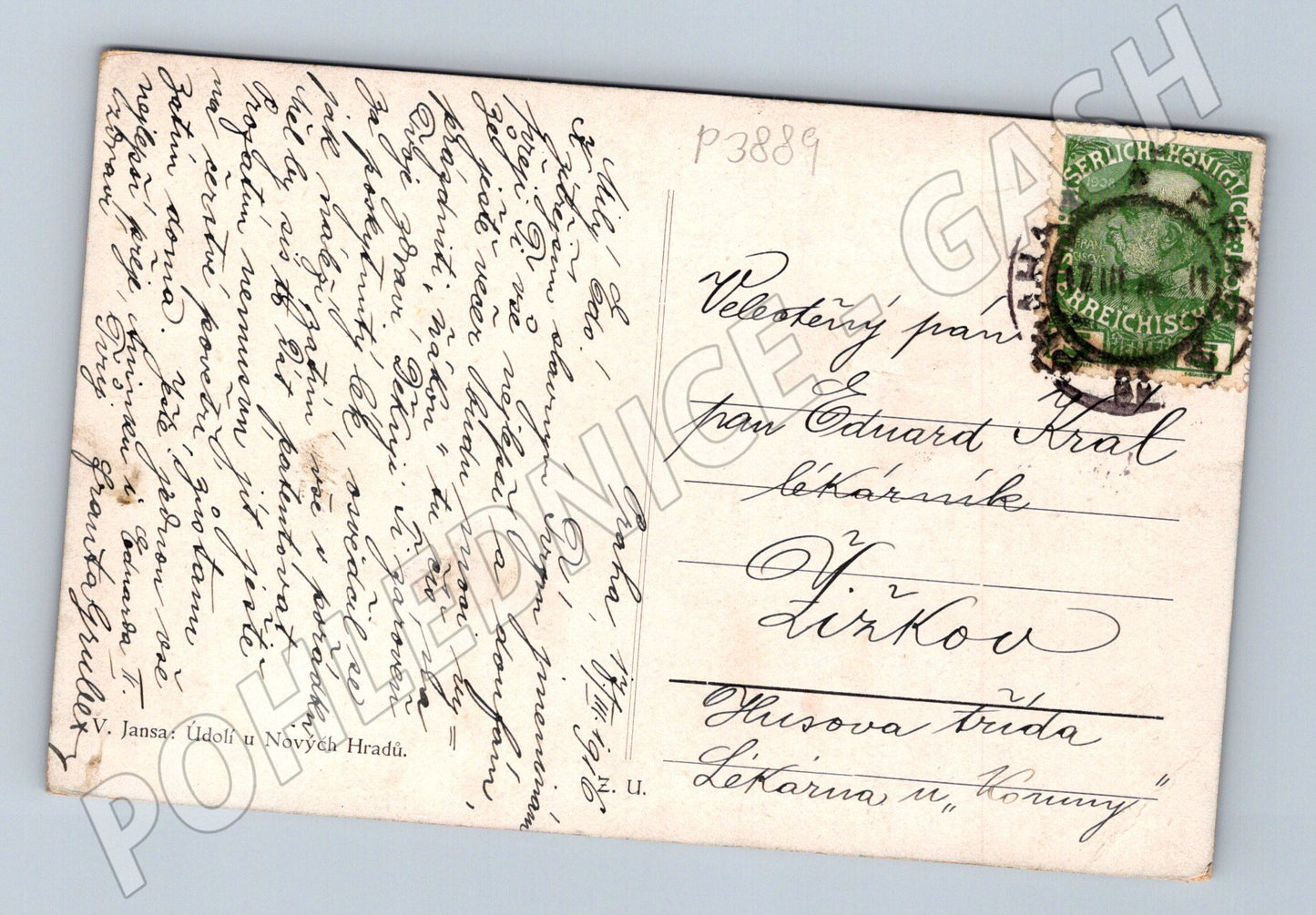 Pohlednice Nové Hrady údolí s postavou a kozou 1905 (P3889)