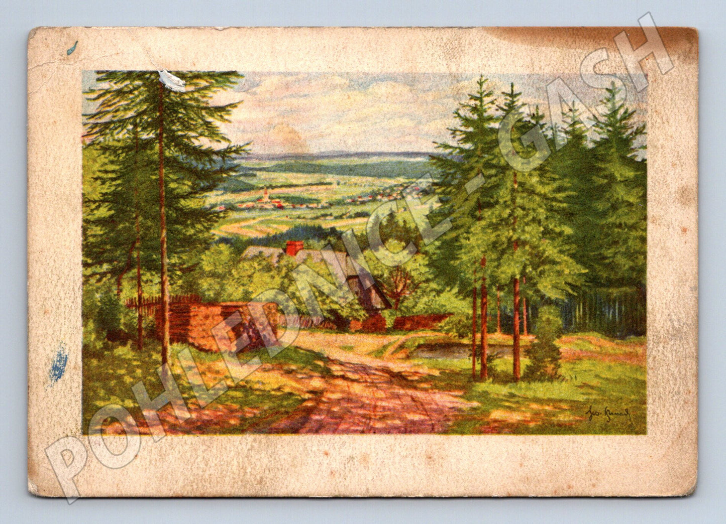 Pohlednice krajina lesní cesta s výhledem (P3902)