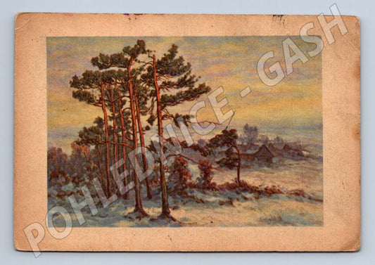 Pohlednice zimní krajina borovice 1943 (P3904)