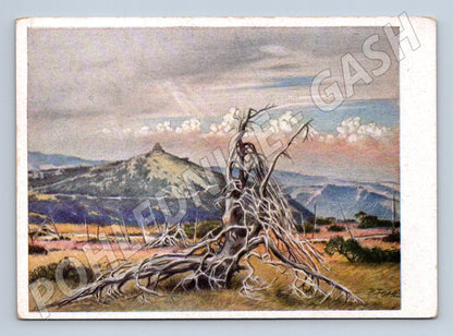 Pohlednice Krkonoše / Reifträger krajina s uschlým stromem (P3907)