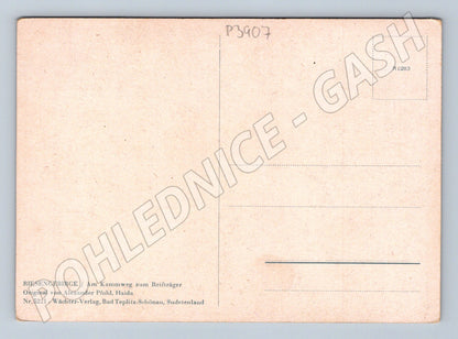 Pohlednice Krkonoše / Reifträger krajina s uschlým stromem (P3907)