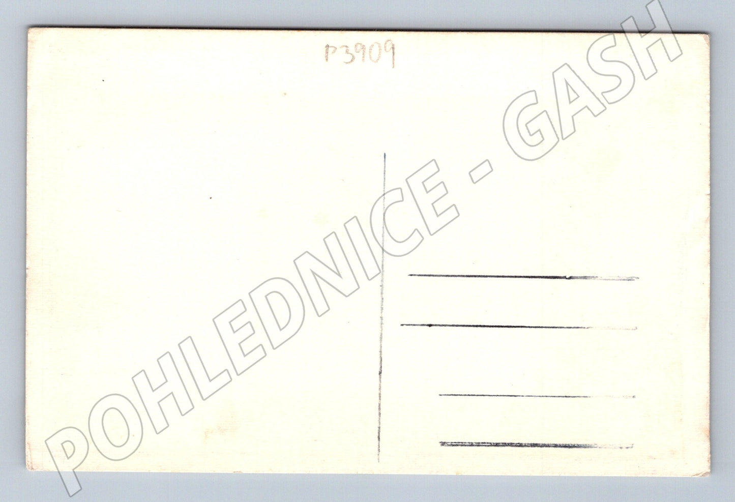 Pohlednice lesní krajina s květy (P3909)