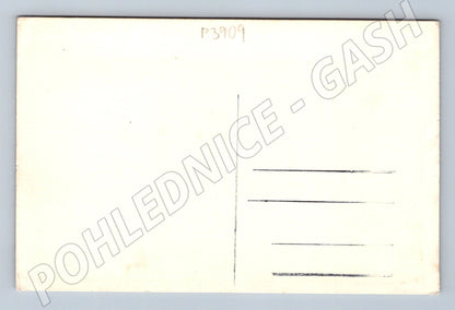 Pohlednice lesní krajina s květy (P3909)