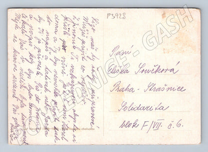 Pohlednice malba Josef Navrátil horská chalupa (P3928)