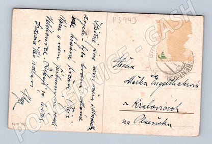 Pohlednice malířství Krajina s domem a stromy (P3943)