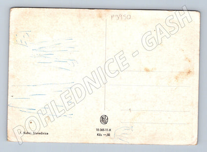 Pohlednice Slunečnice I. Kuba (P3950)