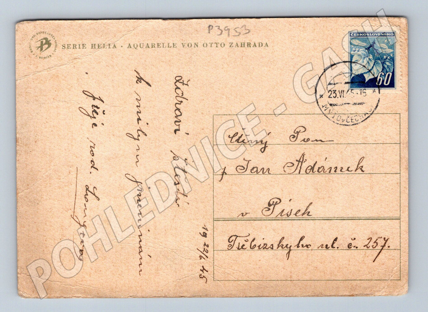 Pohlednice kytice lučních květin 1945 (P3953)
