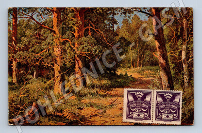 Pohlednice Španělsko lesní cesta Valencia 1938 (P3990)