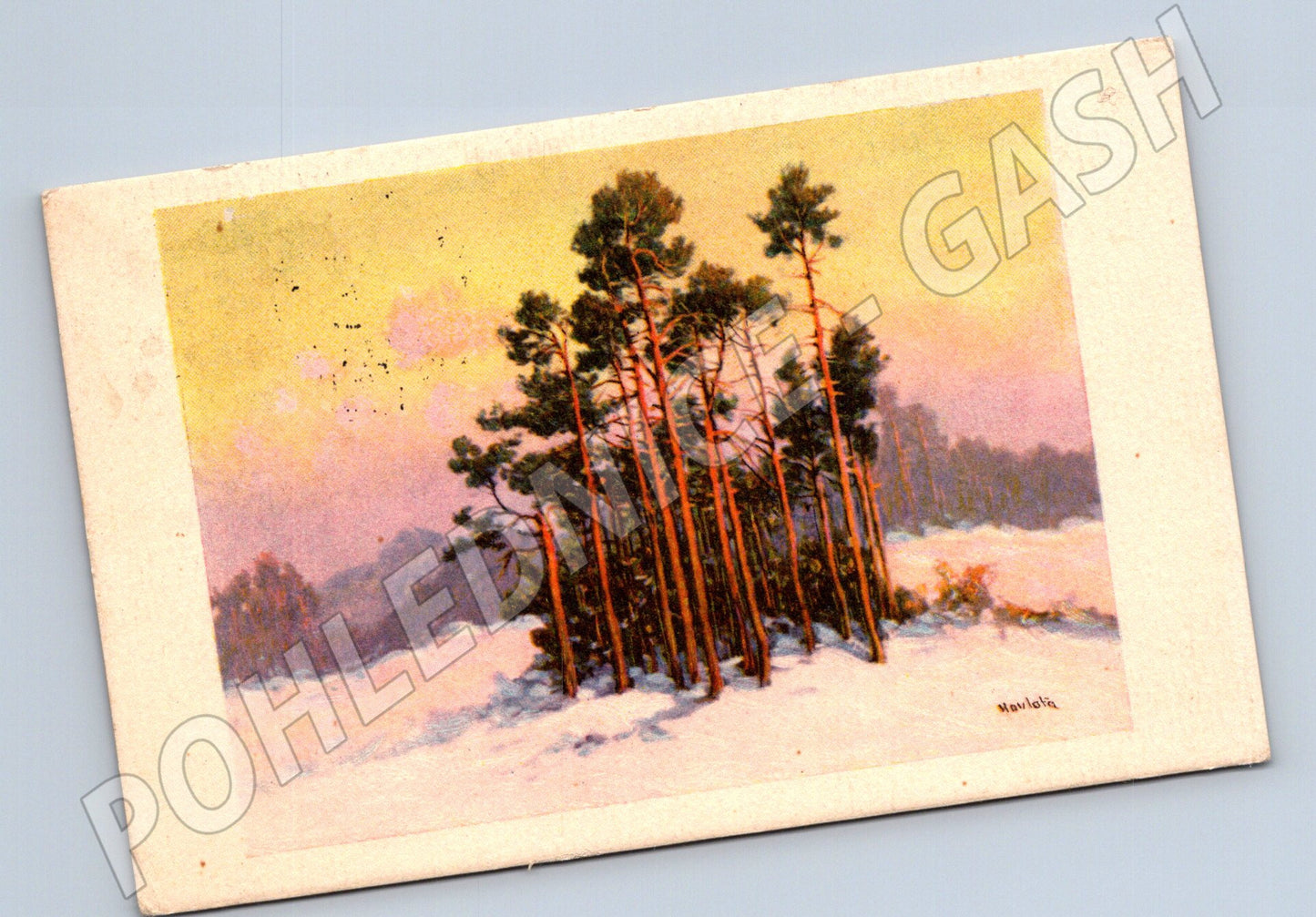 Pohlednice Zimní krajina borovice 1941 (P4018)