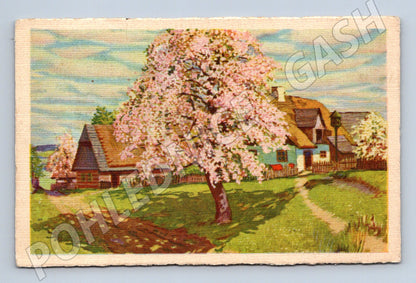 Pohlednice Vesnická scéna rozkvetlý strom 1942 (P4036)