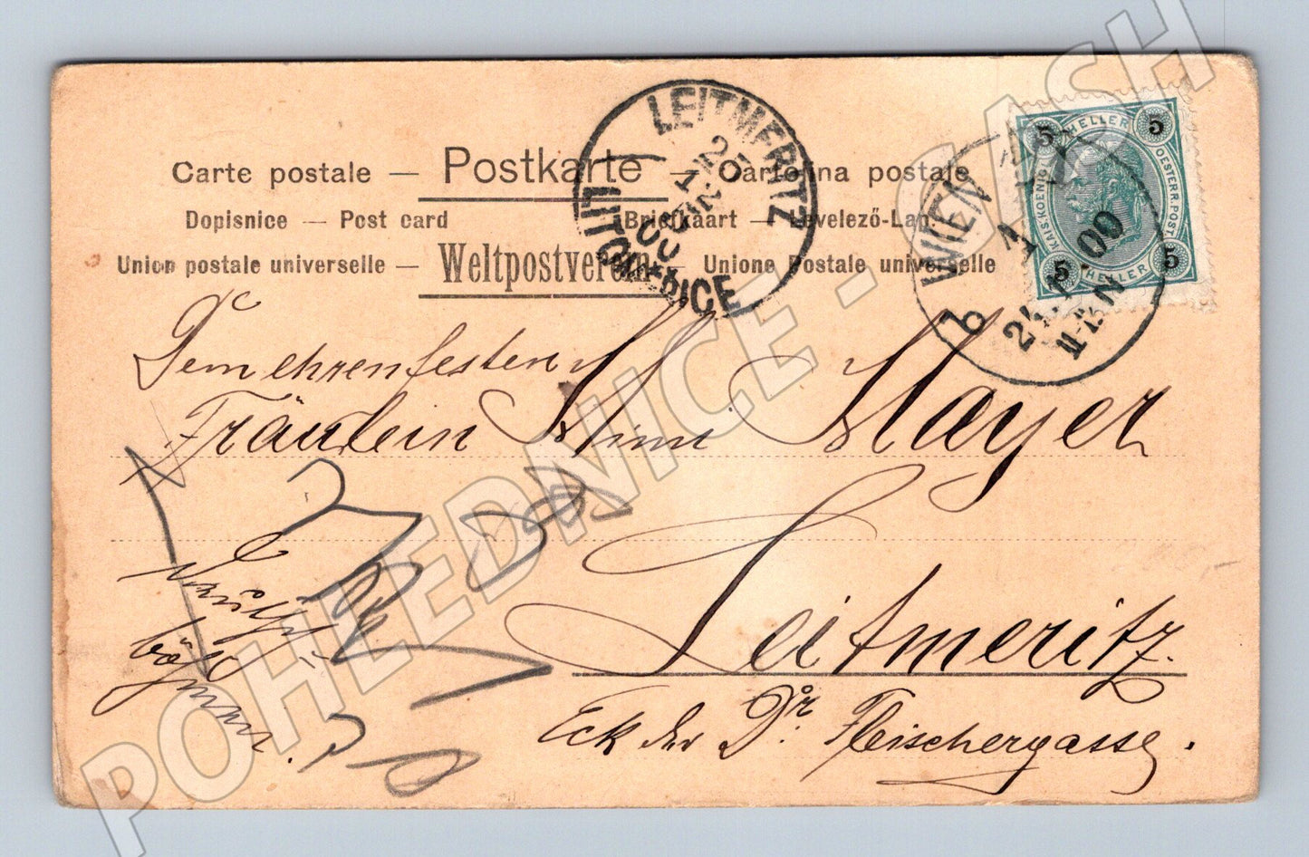 Pohlednice Litoměřice vánoční motiv dítě sníh 1900 (P4201)